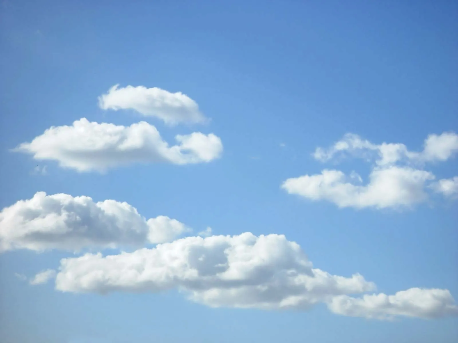 Weebly Cloud has Evaporated